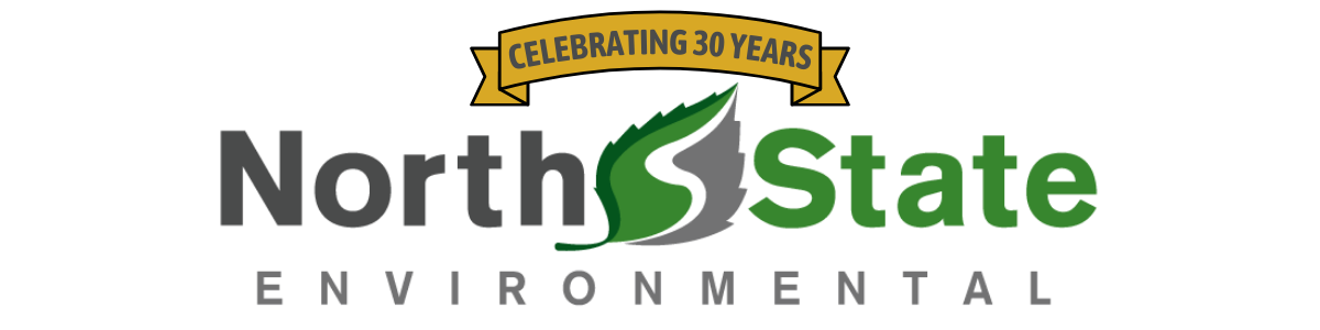 NSE_30th Ann logo w ribbon clear bground