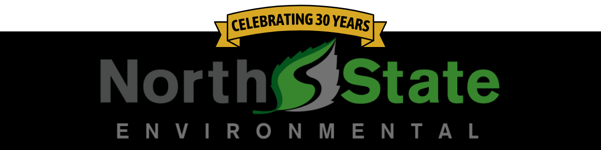 NSE_30th Ann logo_black lifted ribbon