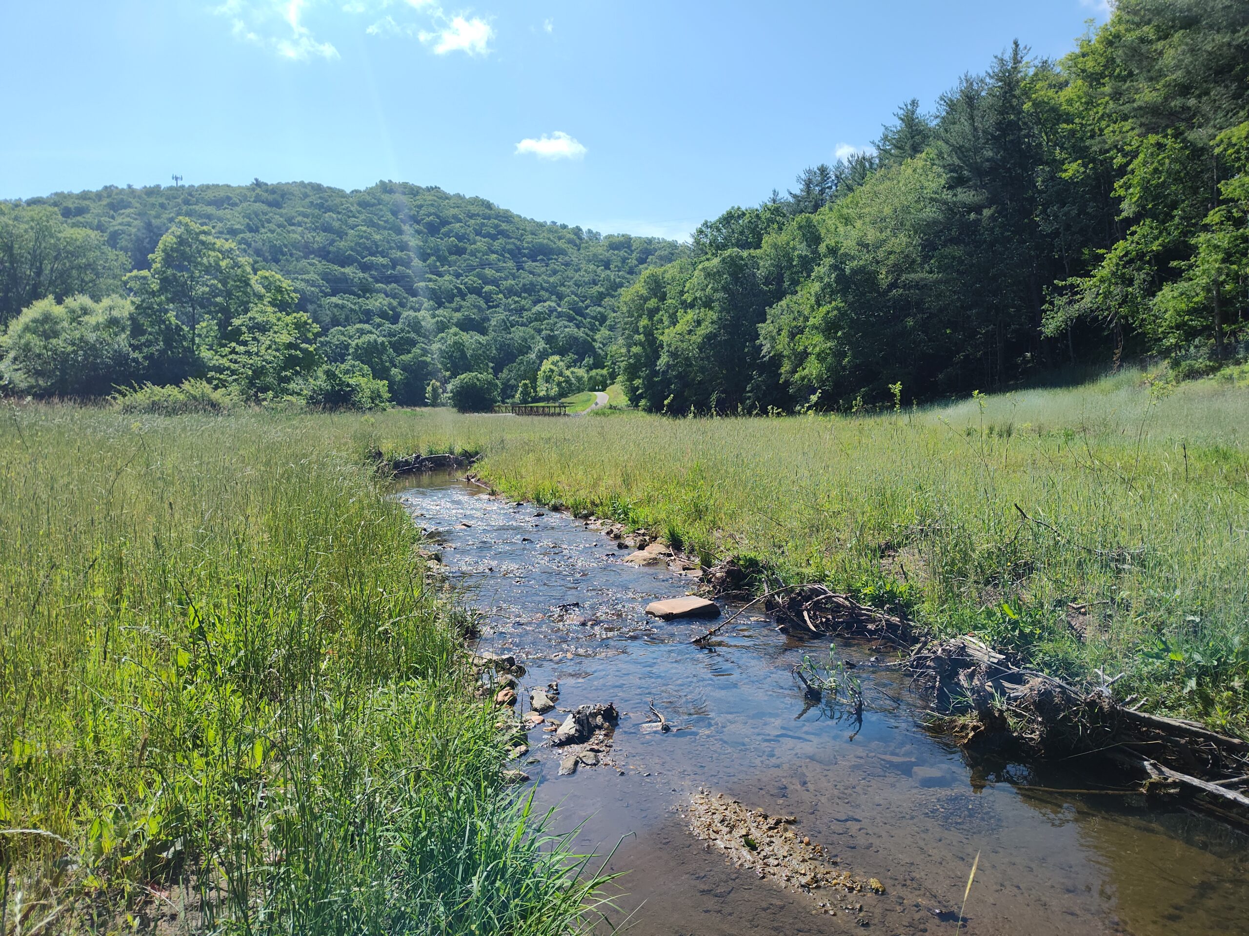 IMG_20250610_102324639